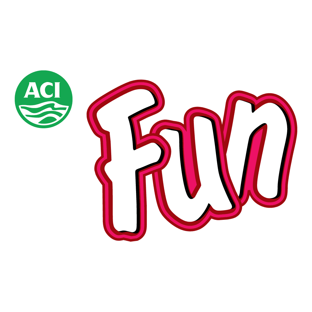 ACI Fun